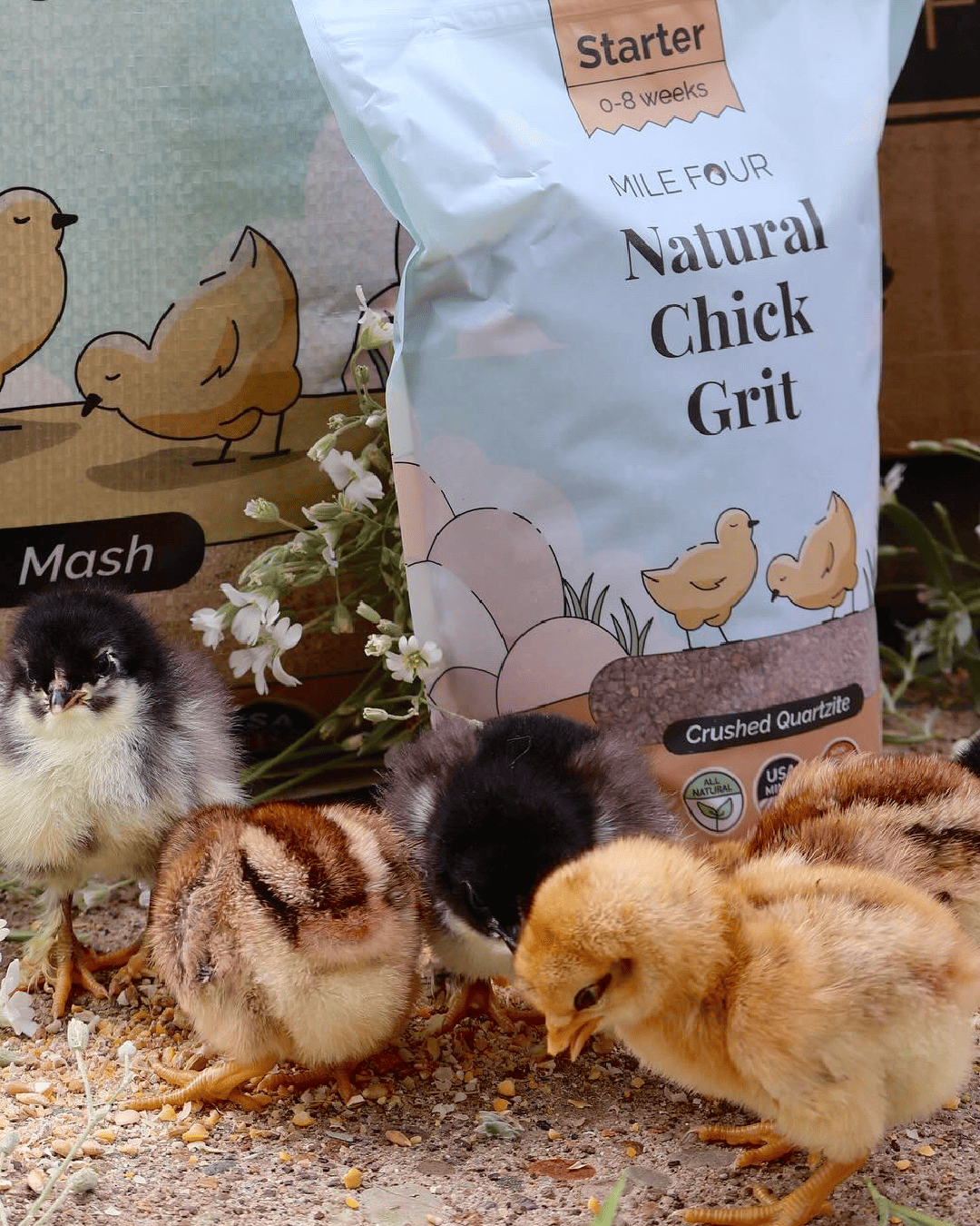 Mile Four Chicken Grit
