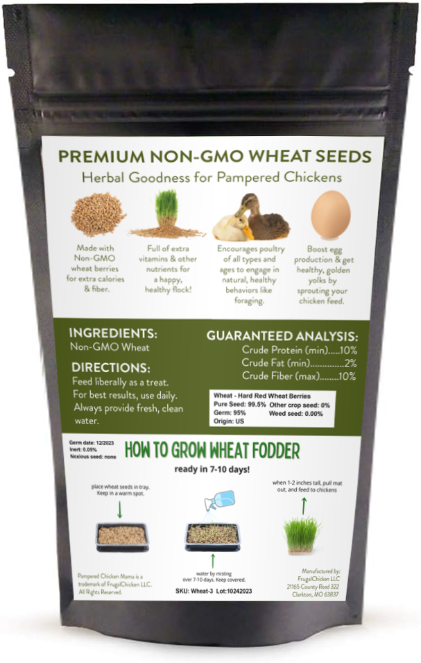 Pampered Chicken Mama Non-GMO Wheat Seeds for Sprouting Fodder (Wheat Grass)